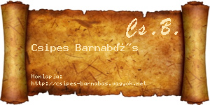 Csipes Barnabás névjegykártya