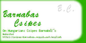 barnabas csipes business card